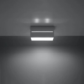 Sollux Lighting Stropné svietidlo LOBO 2 sivé