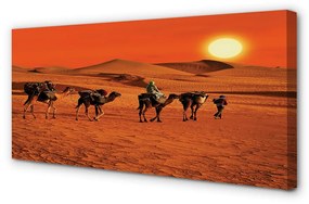 Obraz canvas Ťavy ľudí púštne slnko neba 140x70 cm