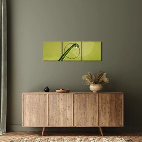 Obraz kvapky vody na tráve (s hodinami) (90x30 cm)