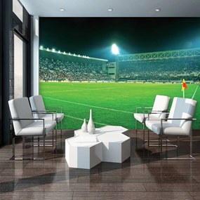 Fototapeta - Futbalové ihrisko (152,5x104 cm)