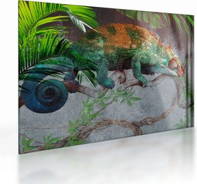 Sklenený obraz - Chameleon (70x50 cm)