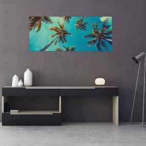 Obraz - Vysoké palmy (120x50 cm)