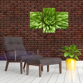 Obraz - Makro snímka rastliny (90x60 cm)