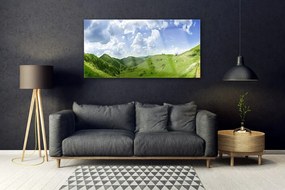 Obraz plexi Hora lúka príroda 120x60 cm