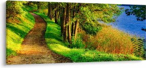 Obraz chodníky pozdĺž vody (120x50 cm)