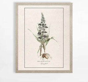 Obraz s orchideou BOTANIC 40x50 cm
