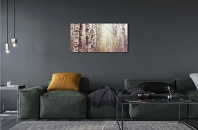 Sklenený obraz stromy 100x50 cm