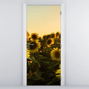 Fototapeta na dvere - Slnečnicové pole (95x205cm)