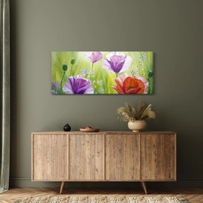 Obraz - Vlčie maky (120x50 cm)