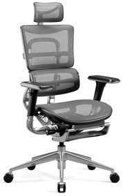 Kancelárska ergonomická stolička Diablo V-Master, čierno-šedá