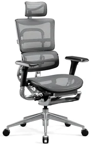 Kancelárska ergonomická stolička Diablo V-Master, čierno-šedá