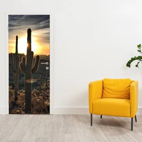Fototapeta na dvere - Kaktusy na slnku (95x205cm)
