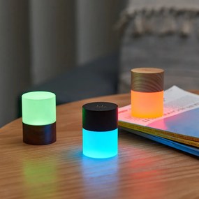 LED stolová lampa so stmievačom v prírodnej farbe so skleneným tienidlom (výška 6 cm) Lemelia – Gingko