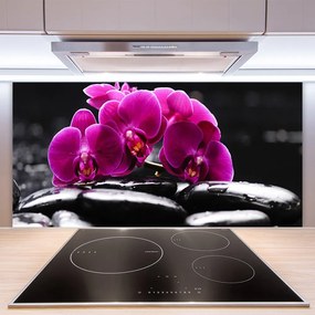 Sklenený obklad Do kuchyne Kamene zen orchidea kúpele 100x50 cm