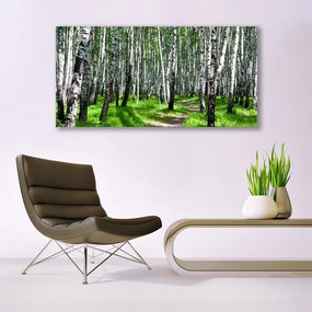 Obraz na akrylátovom skle Stromy tráva príroda 120x60 cm