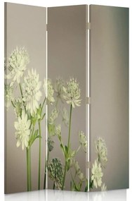 Ozdobný paraván Polní květiny rostliny - 110x170 cm, trojdielny, obojstranný paraván 360°