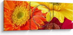 Obraz - Kvety Gerbery (s hodinami) (90x30 cm)