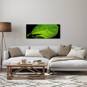 Obraz - zelený list (120x50 cm)