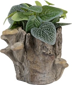Hnedý cementový kvetináč kmeň stromu s hubami Botanic - 19*17*16 cm