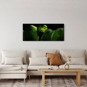 Obraz - Zelený had (120x50 cm)