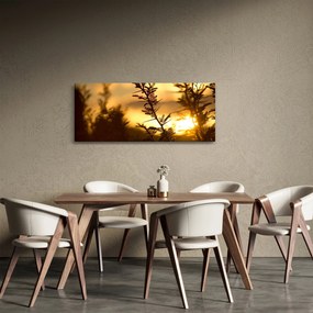 Obraz - Slnko zapadajúce za stromami (120x50 cm)