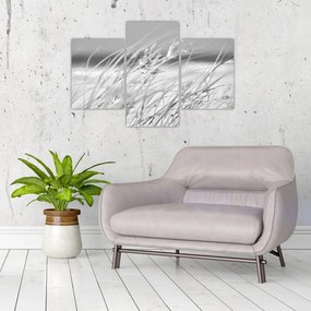 Obraz - Plážová tráva (90x60 cm)