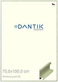 DANTIK rám na obraz 70x100 | ALU Dýha barevná zelená pastel (Plexi Čiré)