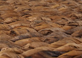 MCW Stolička do jedálne Loiret (sada 6 kusov)