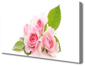 Obraz Canvas Ruže kvety príroda 140x70 cm