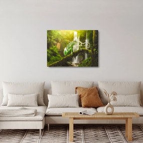 Sklenený obraz jašteričky (70x50 cm)