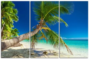 Obraz na plátne - Pláž s palmami  184B (120x80 cm)