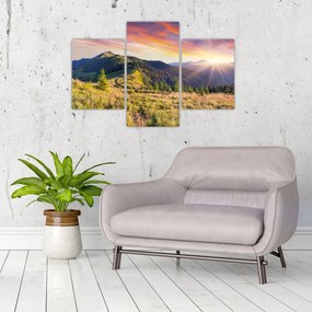 Obraz - Lesná krajina (90x60 cm)