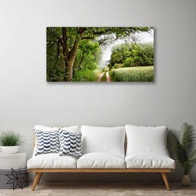 Obraz Canvas Stromy chodník príroda 140x70 cm