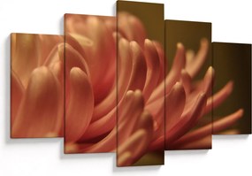 Obraz detailu kvety (150x105 cm)
