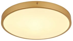 Globo 12381-22 - LED Stropné svietidlo TIBEY LED/22W/230V pr. 35 cm