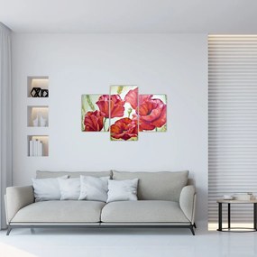 Obraz - Kvety vlčích makov (90x60 cm)