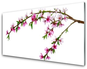 Obraz na skle Vetva kvet príroda 100x50 cm