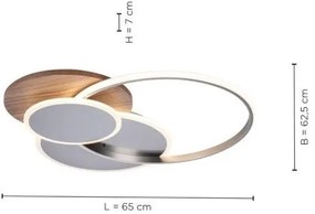 Paul Neuhaus 8328-79 - LED Stmievateľné stropné svietidlo PALMA LED/50W/230V + DO