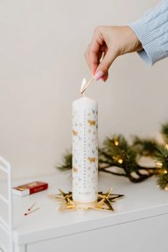 Bella Rose Adventní svíčka Zlaté prasátko