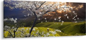 Obraz - Rozkvitnutý strom v krajine (120x50 cm)