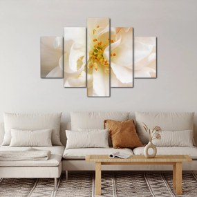 Obraz - Kvet (150x105 cm)