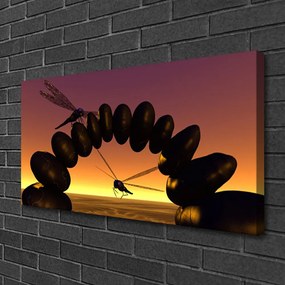Obraz Canvas Vážky kamene umenie 125x50 cm