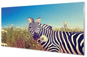 Sklenený obraz zebra kvety 100x50 cm