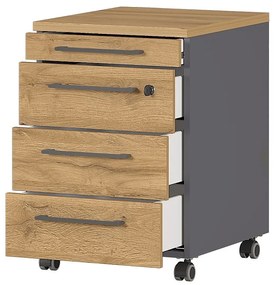 Antracitovosivá prírodná skrinka v dekore duba 42x61 cm Agenda - Germania