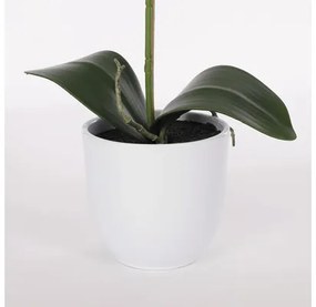 Umelá kvetina Phalaenopsis 60 cm biela