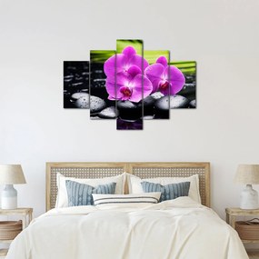 Obraz - Orchidey (150x105 cm)