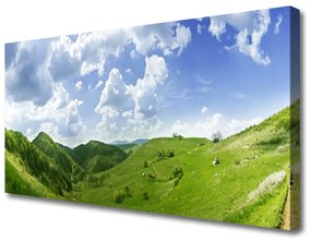 Obraz Canvas Hora lúka príroda 120x60 cm