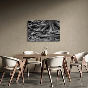 Obraz - Korene stromu (90x60 cm)