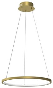 LED Luster na lanku HOOP LED/27W/230V pr. 50 cm 4000K zlatá