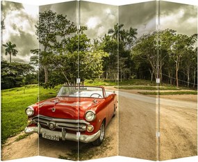 Paraván - Auto veterán v prírode (210x170 cm)